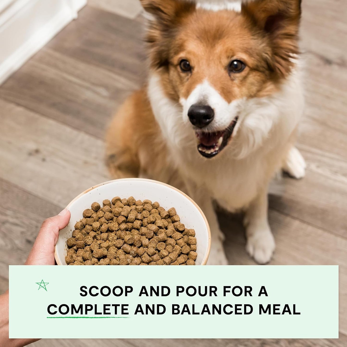Open Farm, Grain-Free Dry Dog Food, Complete & Balanced Kibble, Sustainably & Ethically Sourced Ingredients, Non-GMO Veggies & Superfoods Support Overall Health, New Zealand Venison Recipe, 4lb Bag