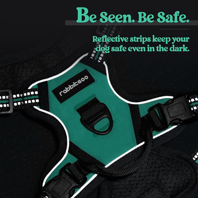 rabbitgoo Dog Harness No Pull with 2 Leash Clips, Adjustable Soft Padded, Reflective Oxford No Choke Pet Vest with Easy Control Handle for Puppy, Turquoise, XS