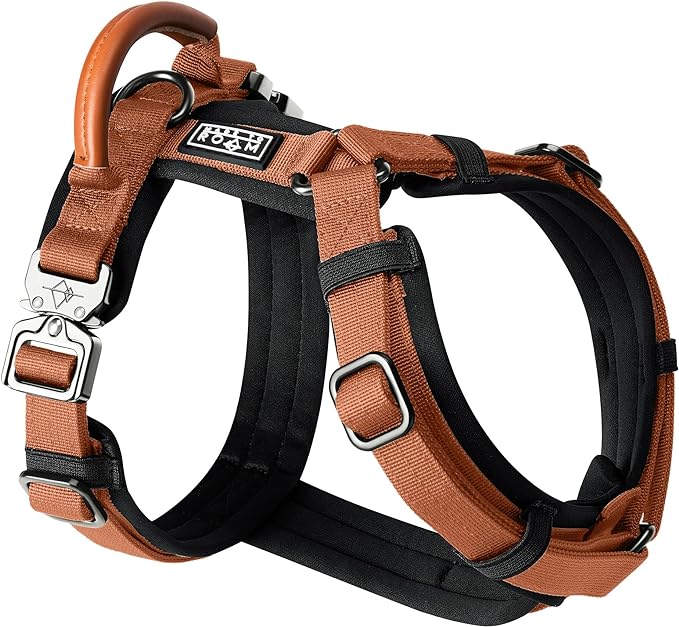 MADE TO ROAM Premium Explorer Harness - Y-Shaped Dog Harness with Adjustable Durable Nylon, Soft Padding, Metal Buckles and Leather Handle for Small, Medium, Large Dogs (Nevada Evening, Size 6)