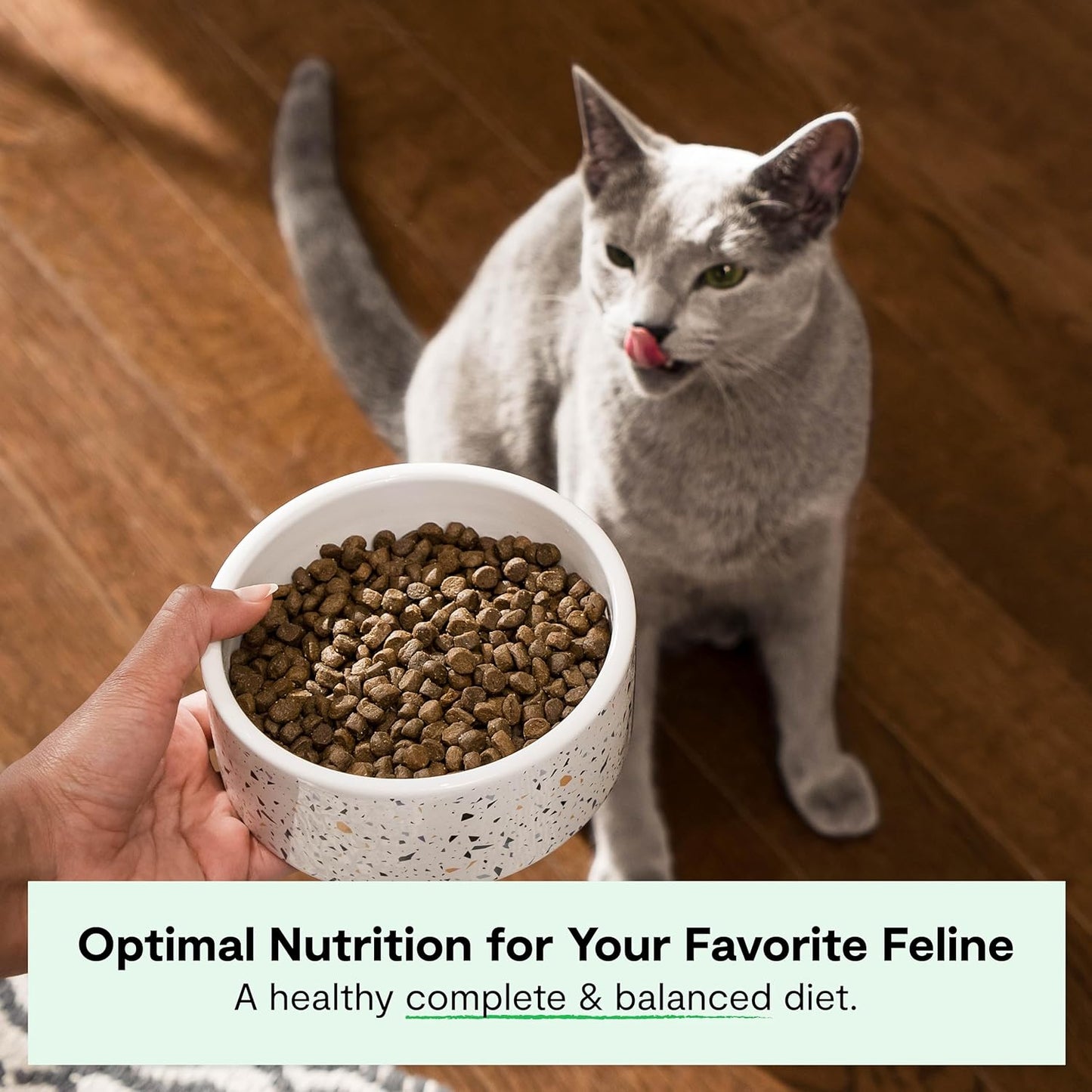 Open Farm Catch-Of-The-Season Whitefish Recipe Organic Sustainable Cat Food Net 4 LB