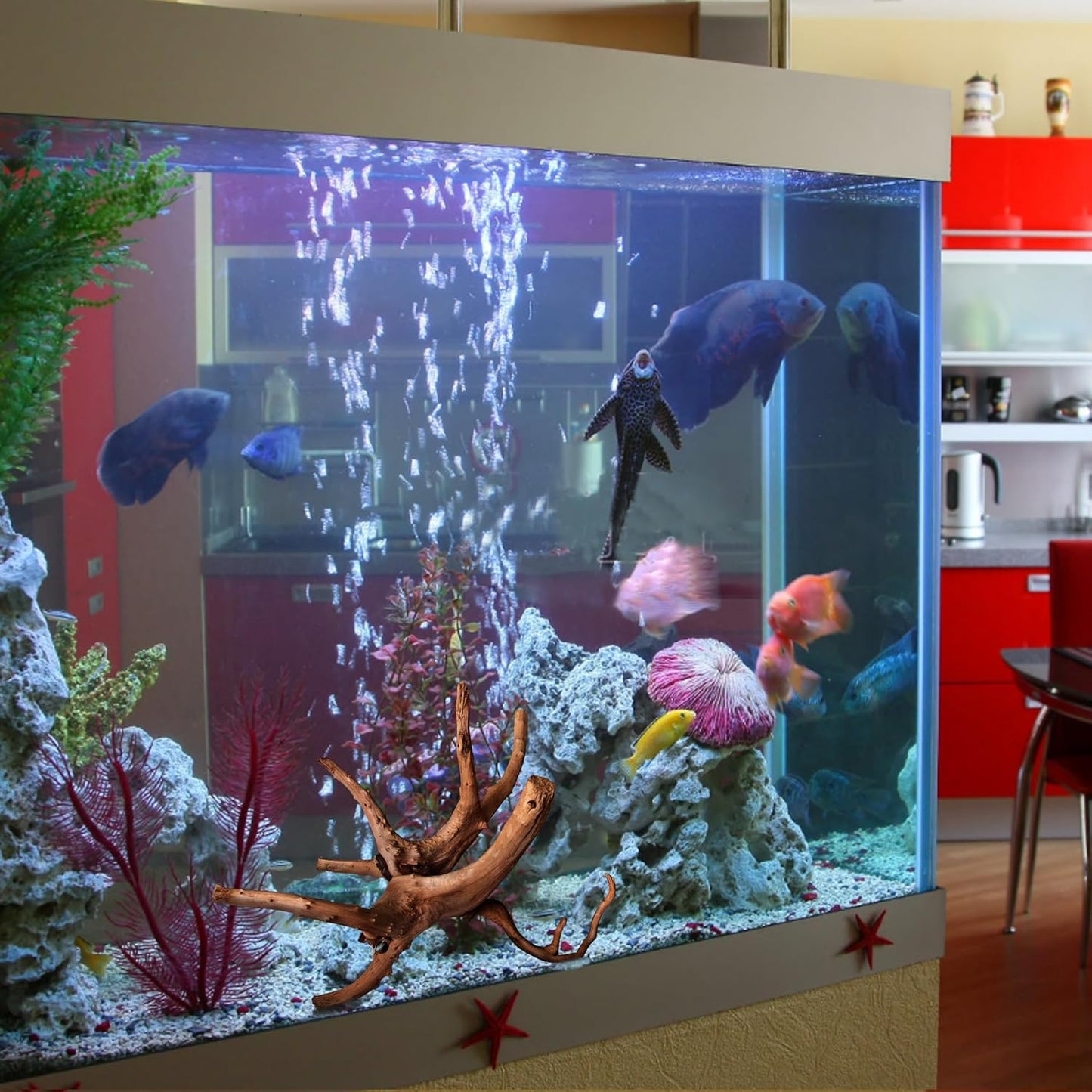 majoywoo Natural Small Driftwood for Aquarium Decor Fish Tank Decorations, Assorted Spider Wood Branch 2-4.5" 10 Pcs, Reptile Decor