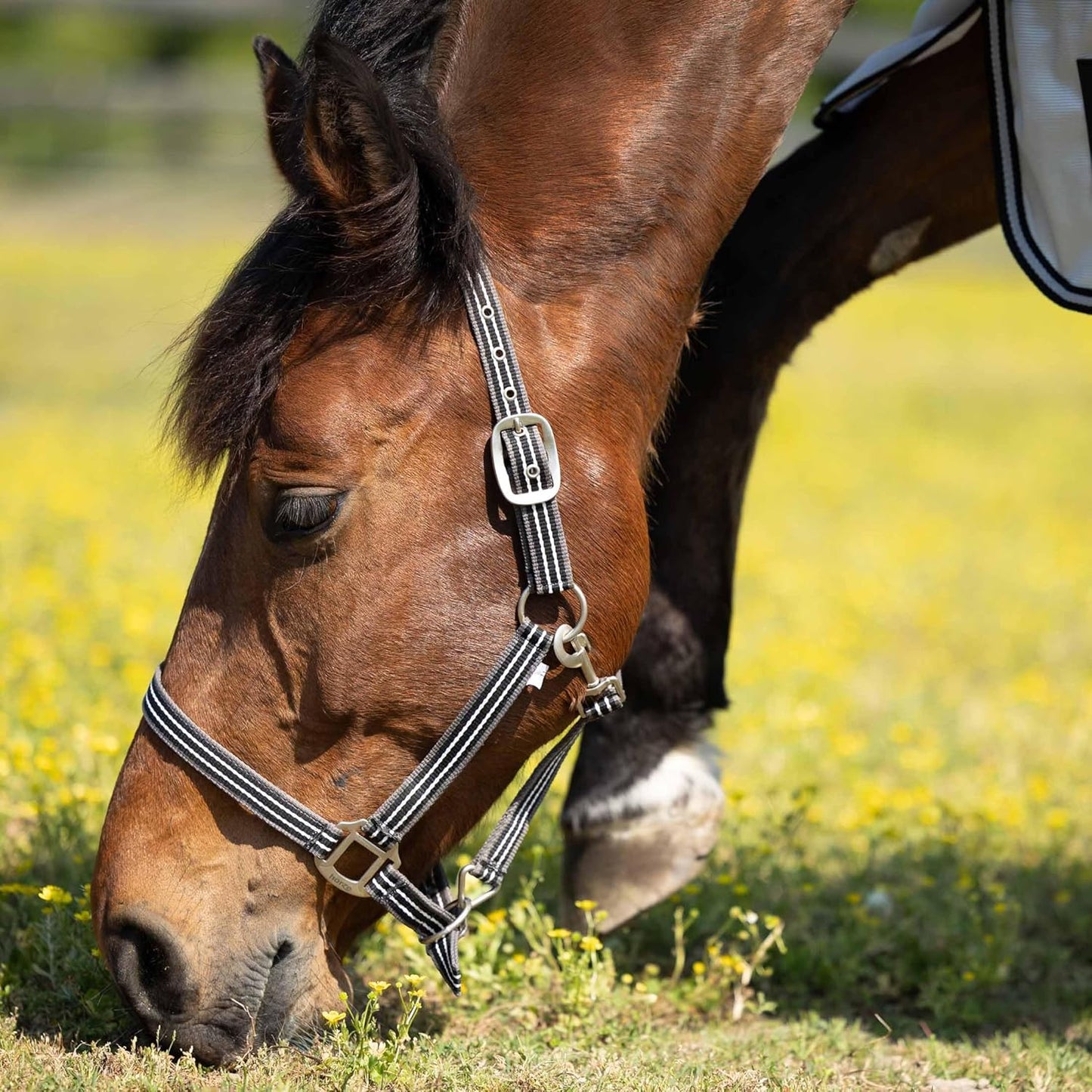 HORZE Adepto Adjustable Horse Halter | Soft, Durable Polyester - Dark Navy - Horse