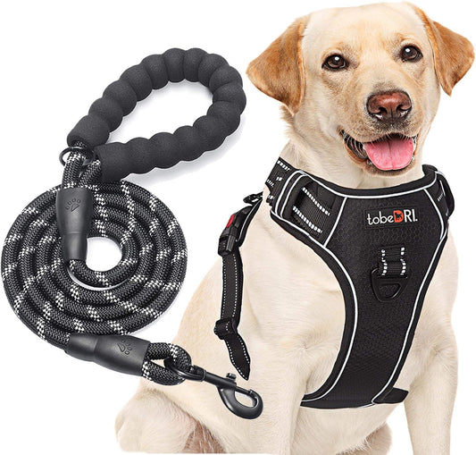 No Pull Harness with A Free Heavy Duty 5ft Leash for Medium Large Dog Adjustable Reflective Oxford Easy Control (L (Neck: 18"-25.5", Chest: 24.5"-33"), Black Harness+Leash)