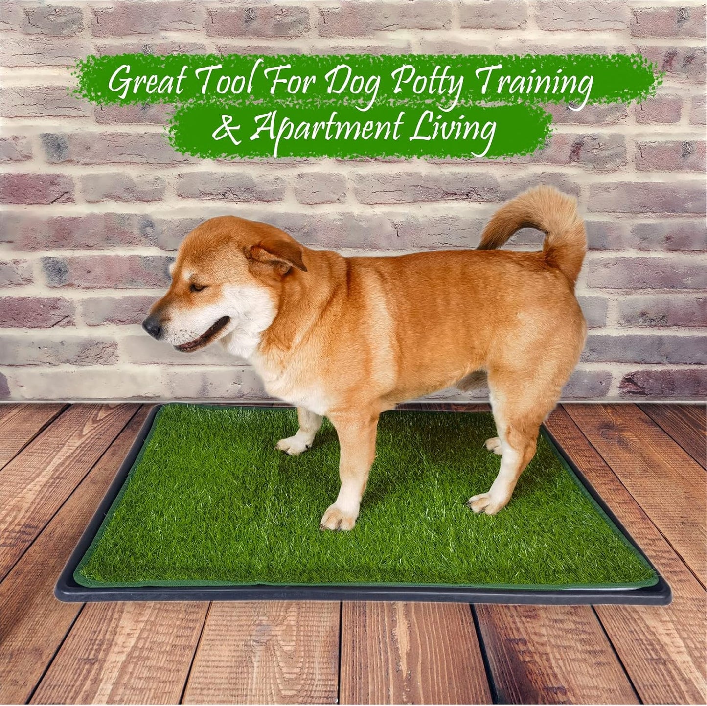 Dewonch Dog Artificial Grass Pad with Tray for Puppy Potty Training, Fake Turf Patch & Washable Pee Pad Pet Loo for Small and Medium Dogs, Indoor or Outdoor Use (Potty System 35.4” x 23.6”)