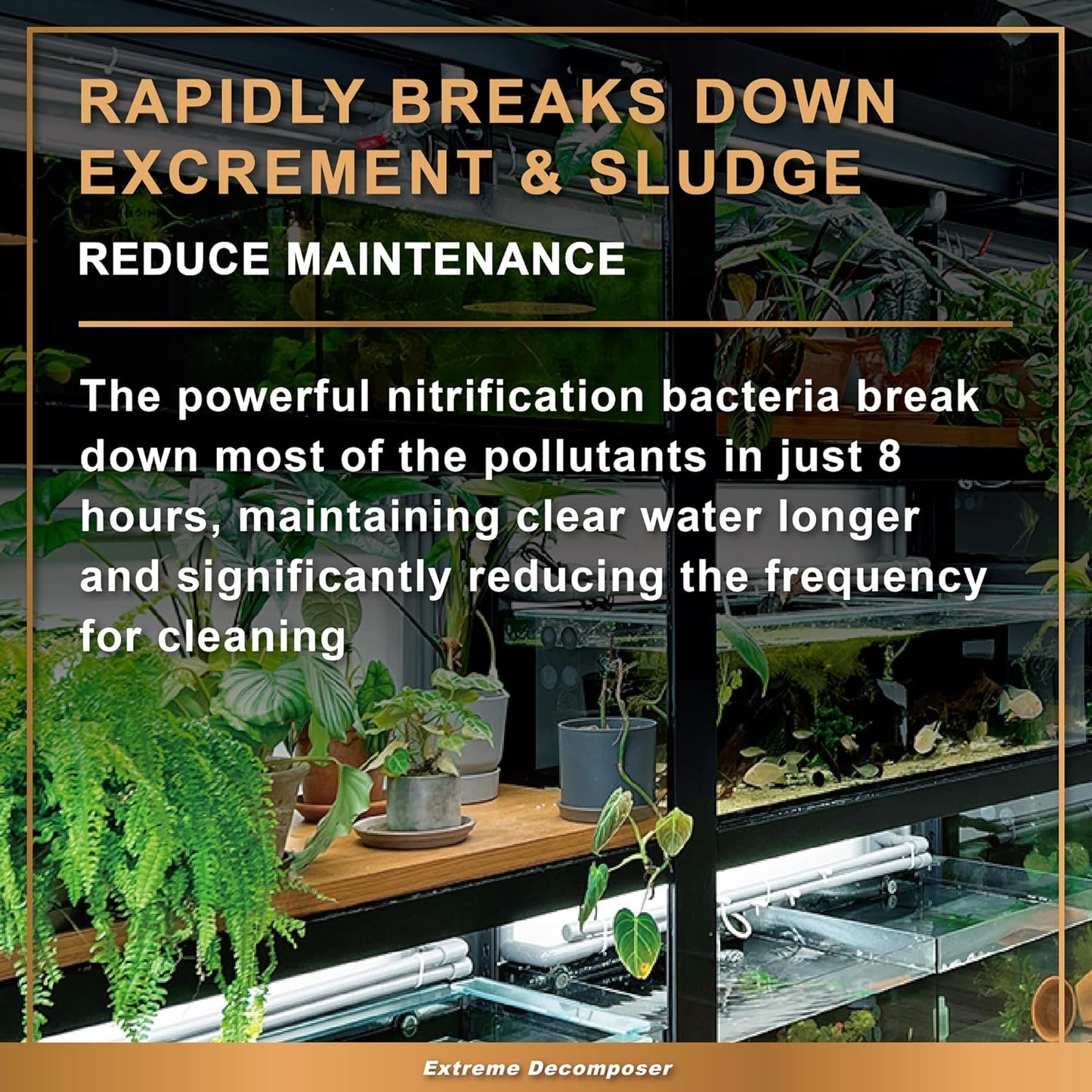 AZOOPLUS BIO XD Extreme Decomposer Nitrifying Bacteria for Freshwater and Saltwater Fish Tank 16.9 Ounces