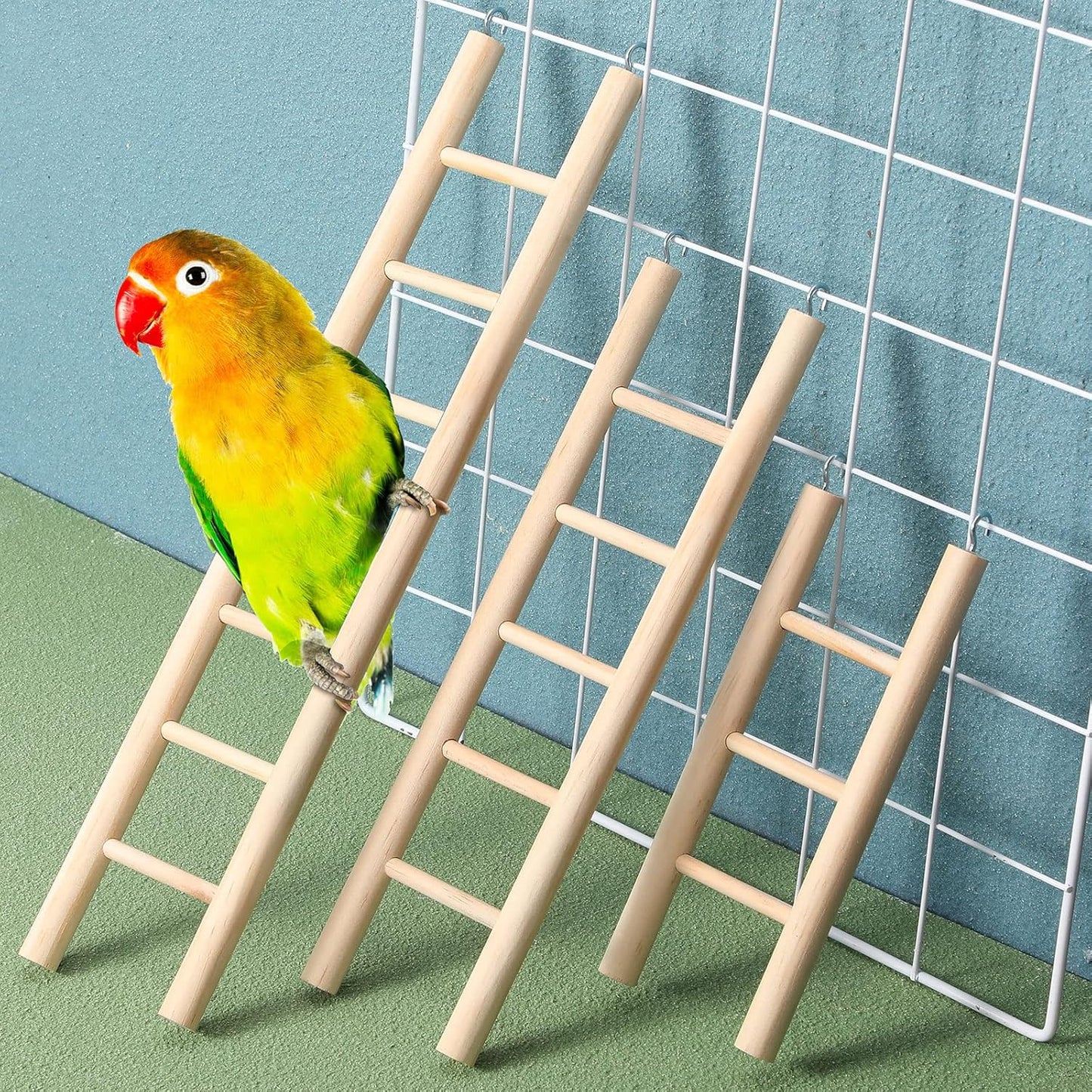 Kigeli 6 Pcs Wood Step Ladder for Bird, Hanging Bird Ladder Parrot Step Cage Hanging Climbing Toys for Parakeets, Parrots, Cockatoo and Lovebirds