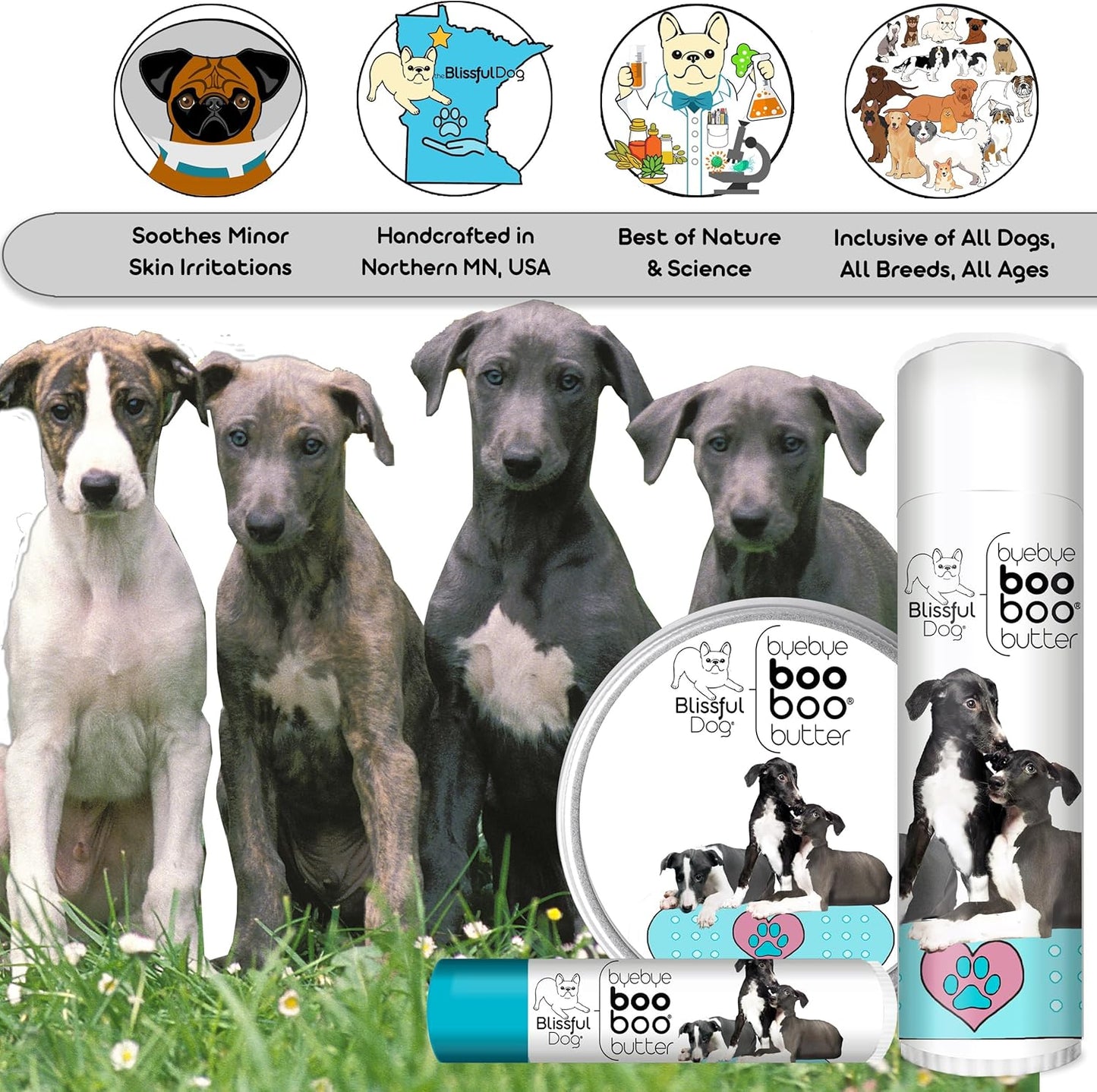 The Blissful Dog Greyhound Boo Boo Butter, 1-Ounce