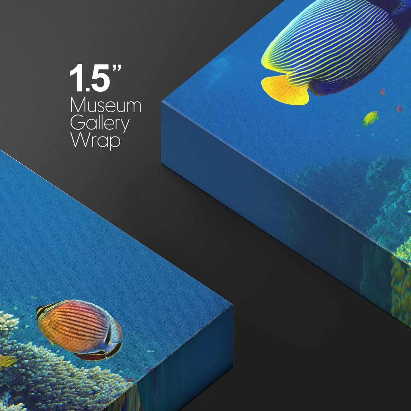 wall26 Canvas Print Wall Art Tropical Underwater Sea Coral Reef Fish Nature Animals Photography Realism Rustic Scenic Landscape Wilderness Earth Colorful for Living Room, Bedroom, Office - 12"x18"