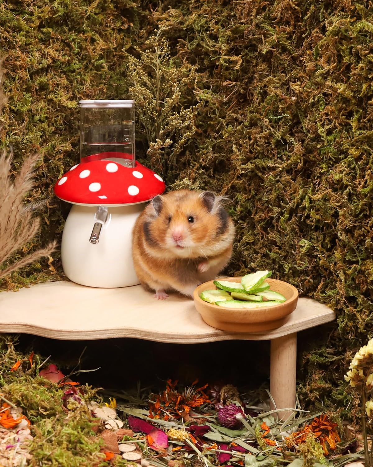 Niteangel Hamster Snack & Treats Toy - Small Animal Natural Treat for Dwarf Syrian Robo Hamsters Gerbils Mice Lemmings Degus or Other Small-Sized Pets