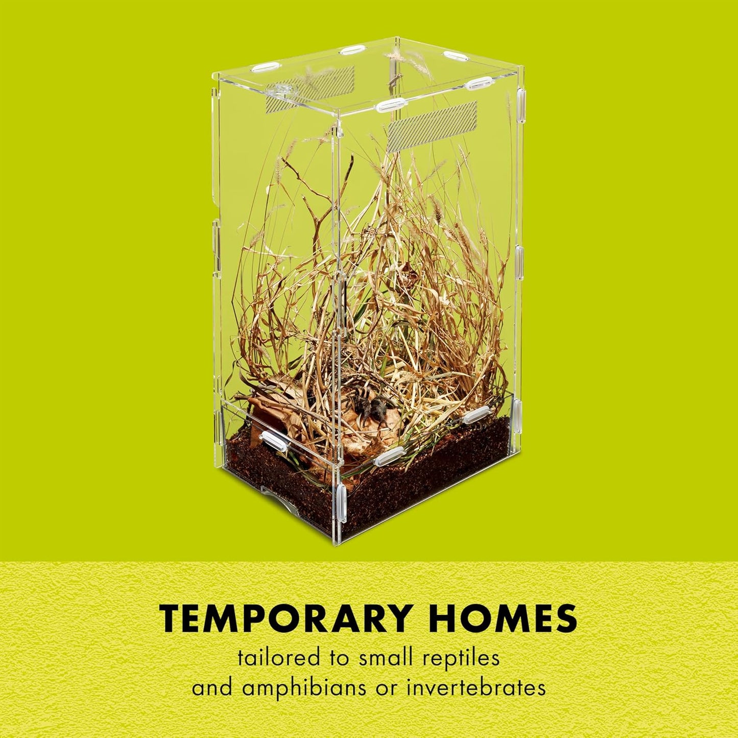 Zilla Micro Habitat Terrarium, Arboreal, with Locking Latch, for Isopods, Spiders, Insects, Small