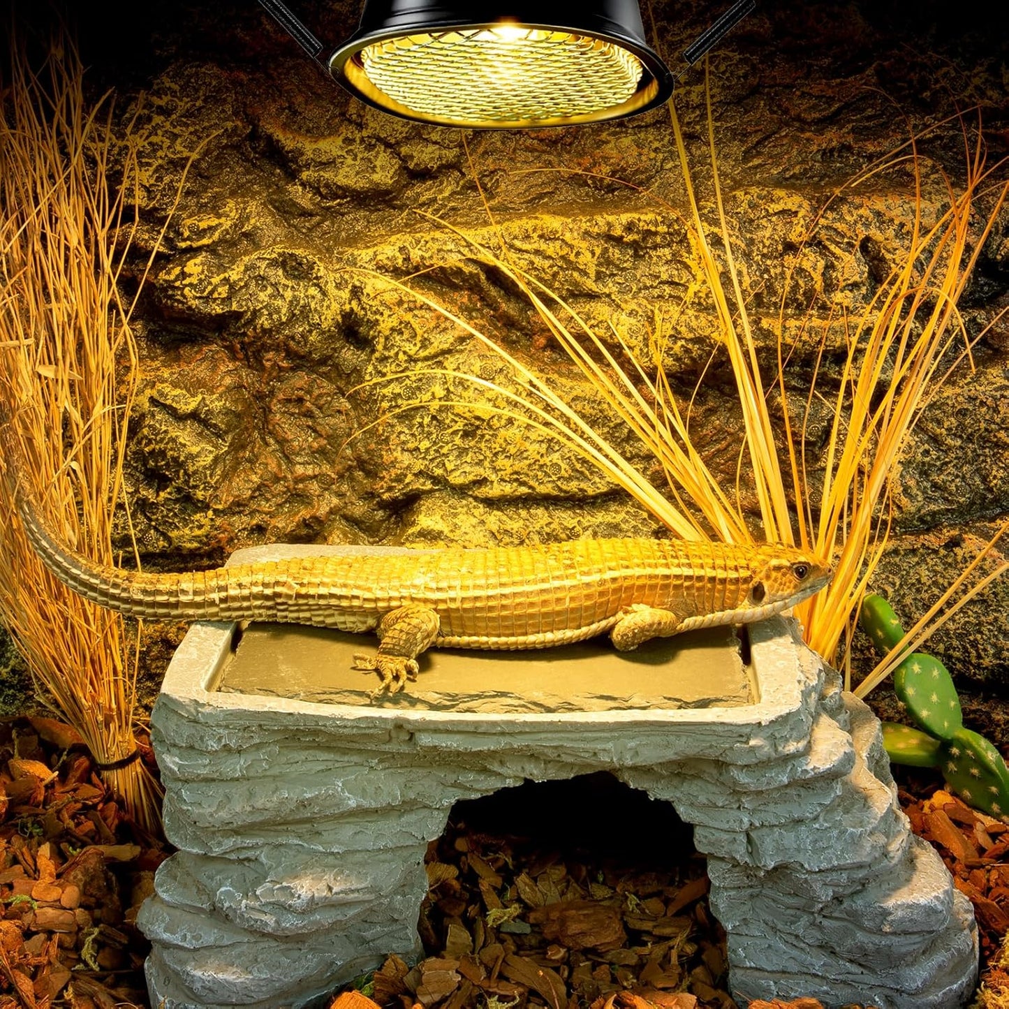 REPTI ZOO G9 Reptile Heat Lamp Bulb & Reptile Light Fixture with Safety Mesh Kit, 50W UVA Basking Light Fixture for Bearded Dragon Gecko Lizard Turtle Snake Chicken, Low Profile Warm White Heat Bulb