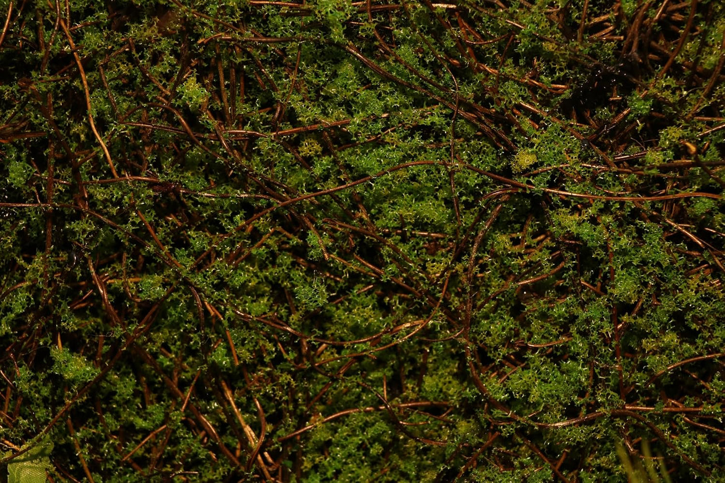 AQUA KT Reptile Moss Background Backdrop Wall Artificial Terrarium Habitat Amphibian Cage Decoration for Lizard Bearded Dragon Snake Tree Frog Chameleon Climbing, Pack of 4