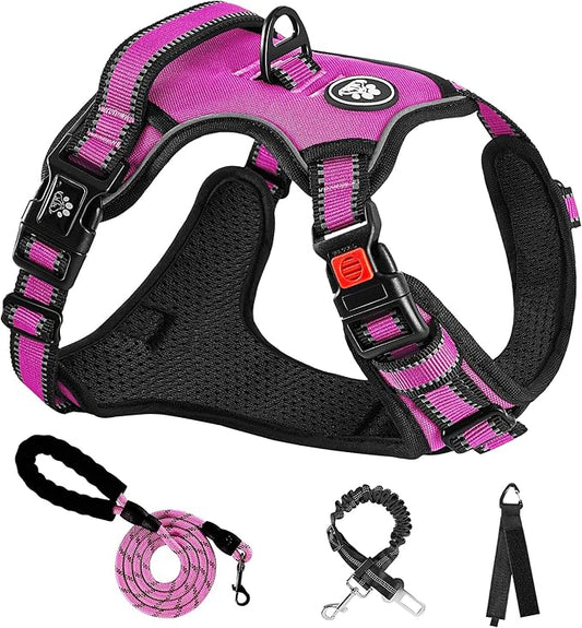 NESTROAD No Pull Dog Harness,Adjustable Oxford Dog Vest Harness with Leash,Reflective No-Choke Pet Harness with Easy Control Soft Handle for Small Dogs(Small,Fuchsia Pink)