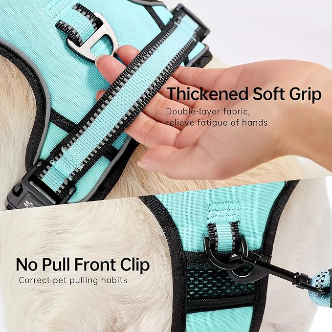 NESTROAD No Pull Dog Harness,Adjustable Oxford Dog Vest Harness with Leash,Reflective No-Choke Pet Harness with Easy Control Soft Handle for Small Dogs(Small,Turquoise)