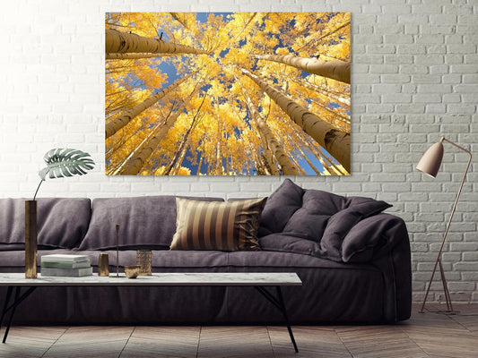 Nature Wall Art Prints - Ocean Forest Mountain Lake Canvas Landscapes - Small to Extra Large Living Room Bedroom Kitchen Bathroom Décor (Reaching for the Sky, 35L" x 53W")