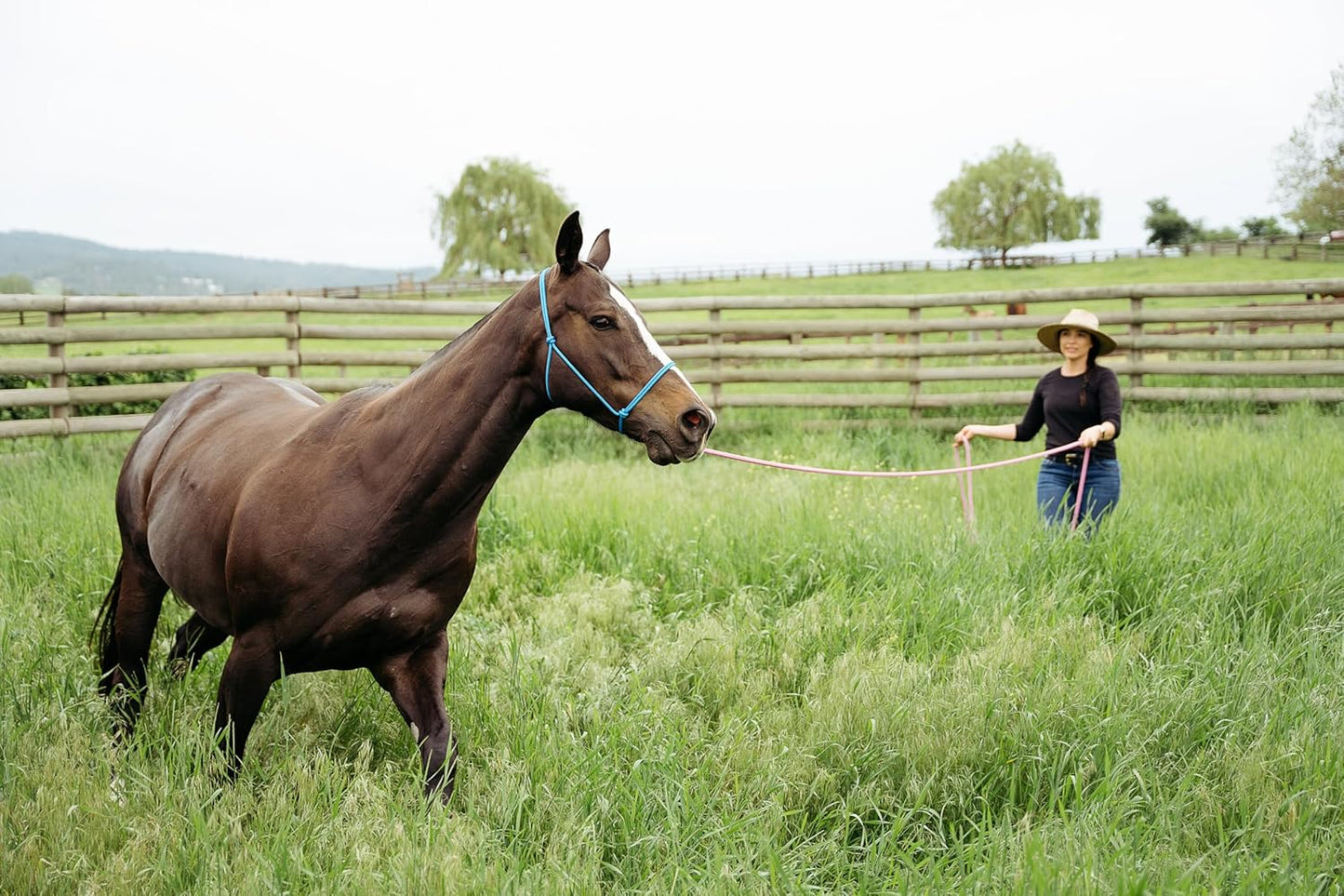 22' Long Line with SS O Ring and Carabiner (Black)