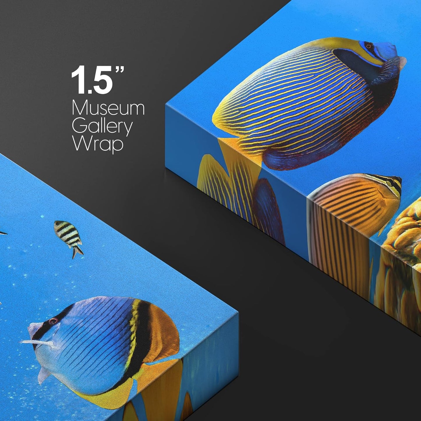 wall26 Canvas Print Wall Art Tropical Island Underwater Fish Red Anemone Nature Animals Photography Realism Rustic Scenic Landscape Wilderness Colorful for Living Room, Bedroom, Office - 16"x24"