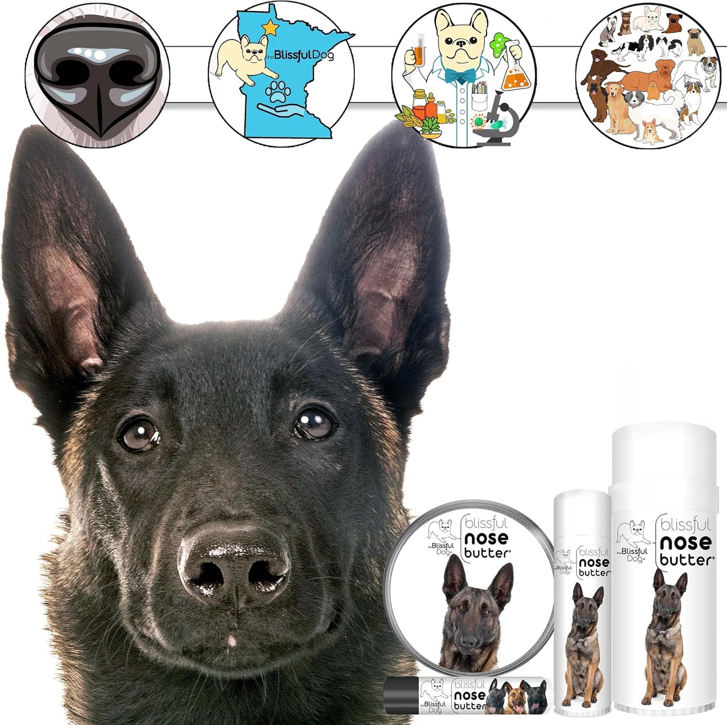 The Blissful Dog Belgian Malinois Nose Butter for Dry, Cracked Skin, Lick-Safe Dog Nose Balm with Moisturizing Shea Butter, Almond, Olive, and Essential Oils, Pet Supplies, Uncented, 8 oz.