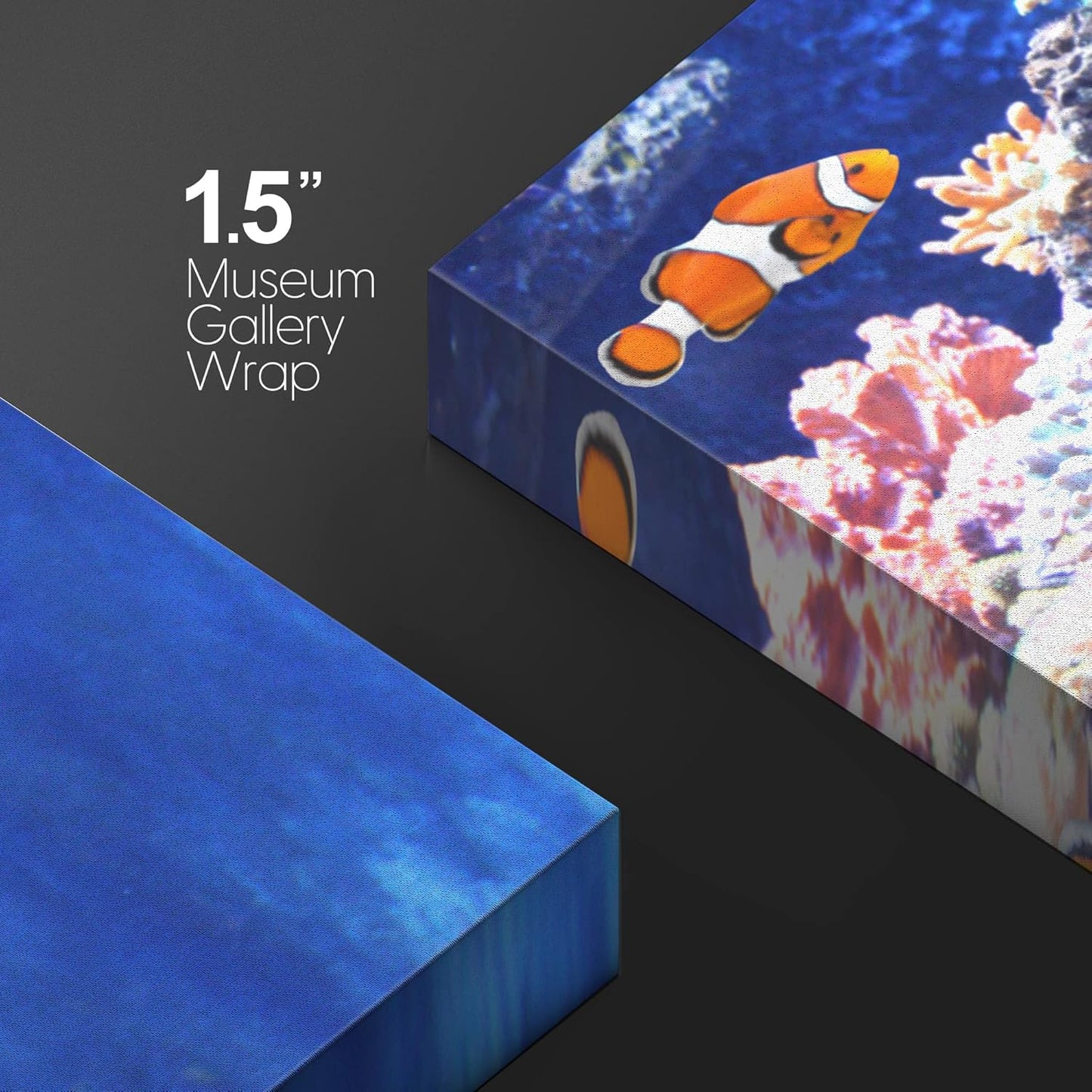 wall26 Canvas Print Wall Art Clownfish Underwater Tropical Coral Reef Nature Animals Photography Realism Rustic Scenic Landscape Wilderness Earth Colorful for Living Room, Bedroom, Office - 32"x48"