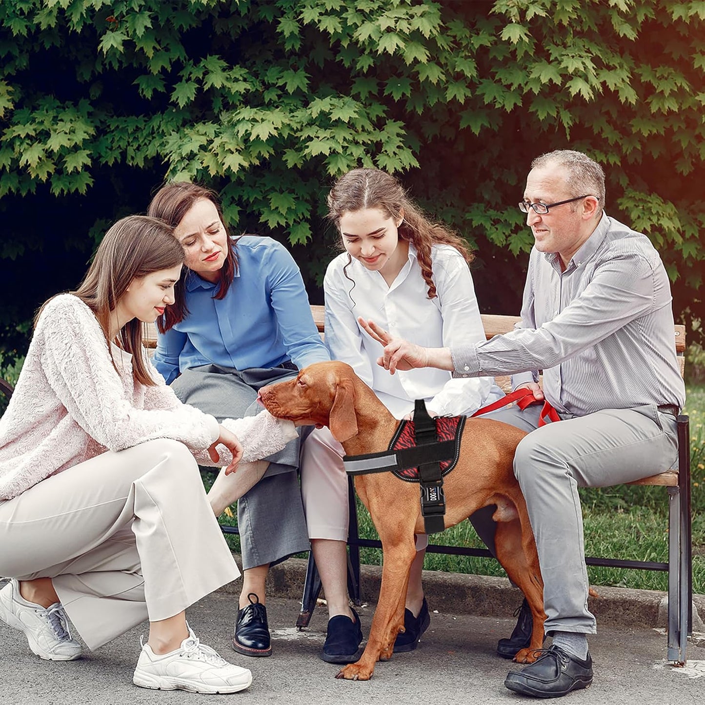 Dogline Dog Harness, Reflective No-Pull Adjustable Vest with Handle for Walking, Training, Breathable, No - Choke Harness for Small, Medium or Large Dogs Room for Patches Zebra Black/Red XS 15"-18"