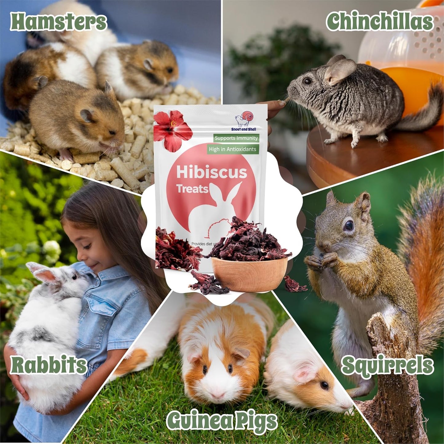 Snout and Shell Hibiscus Treats – 100% Natural Dried Flowers for Small Pets – Immunity Support & Antioxidants – Healthy Snack for Rabbits, Guinea Pigs, & Chinchillas (1 oz)