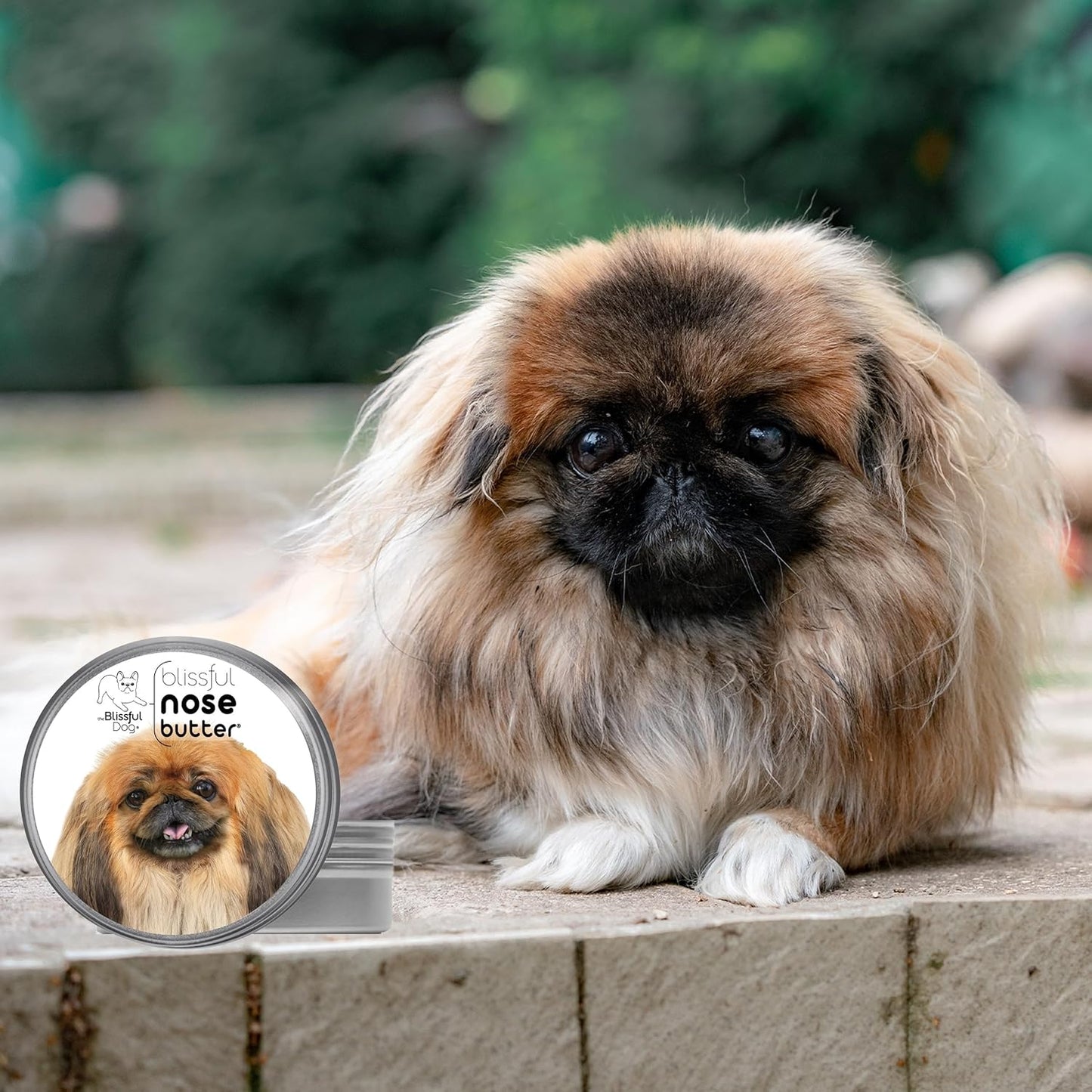 The Blissful Dog Pekingese Unscented Nose Butter - Dog Nose Butter, 16 Ounce