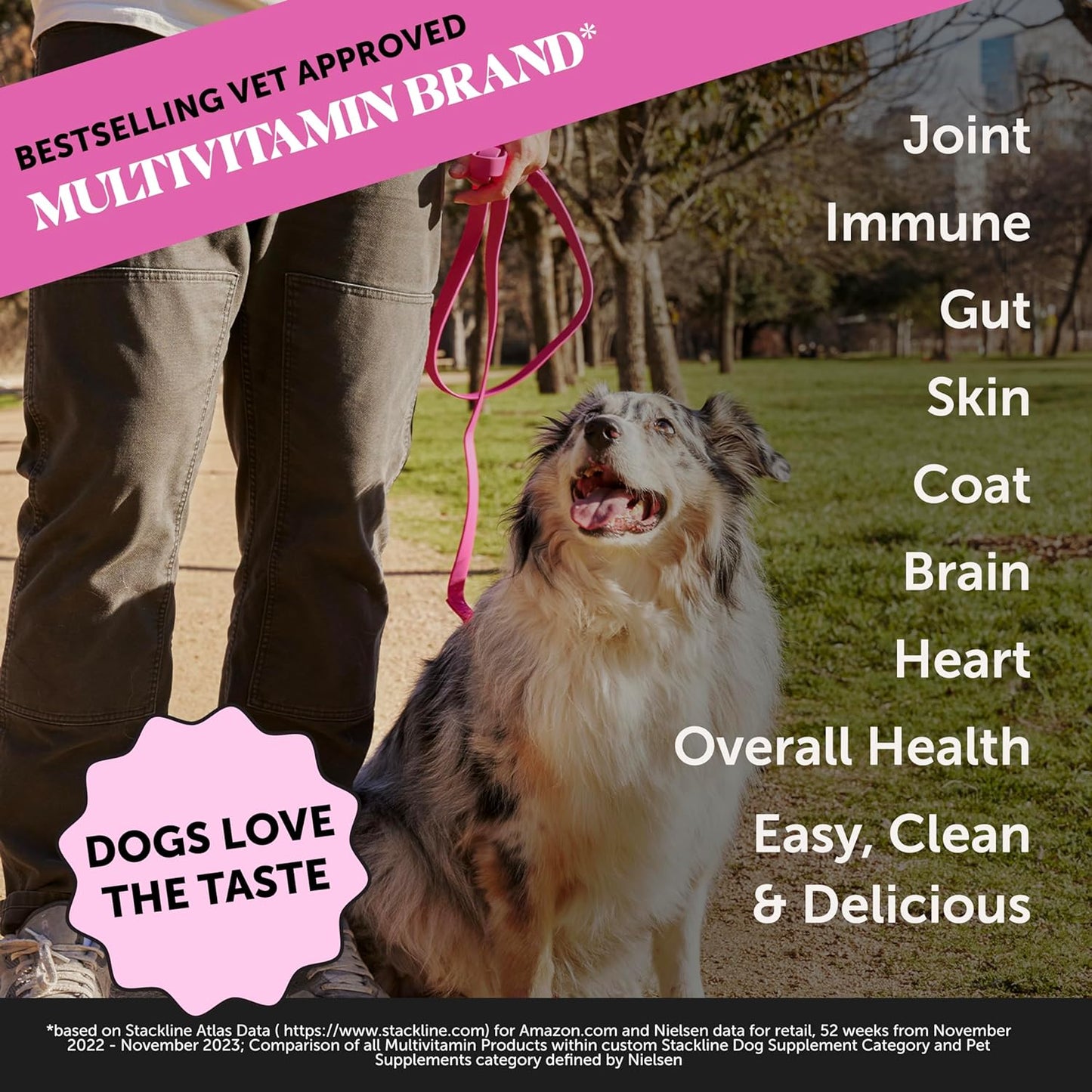 Dog Multivitamin Supplement with Salmon Oil for Dogs - Allergy Itch Relief, Digestion, Skin & Coat Health, Liquid Supplement - Dog Food Topper Bone Broth with Prebiotics (12 oz)
