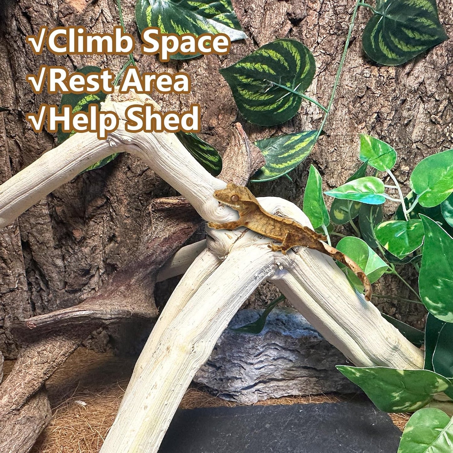 BNOSDM Reptile Branches, 12-14inch Snake Climbing Branch, Terrarium Wood Branch Decor, Bearded Dragon Tank Climbing Accessories for Lizard, Gecko, Chameleon, Frog, 2Pcs