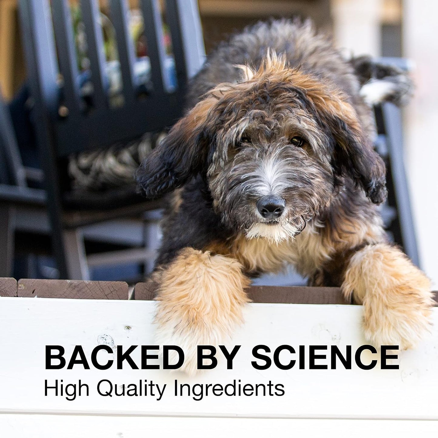 Nutramax Laboratories Denosyl Liver and Brain Health Supplement for Large Dogs, With S-Adenosylmethionine (SAMe), 30 Tablets