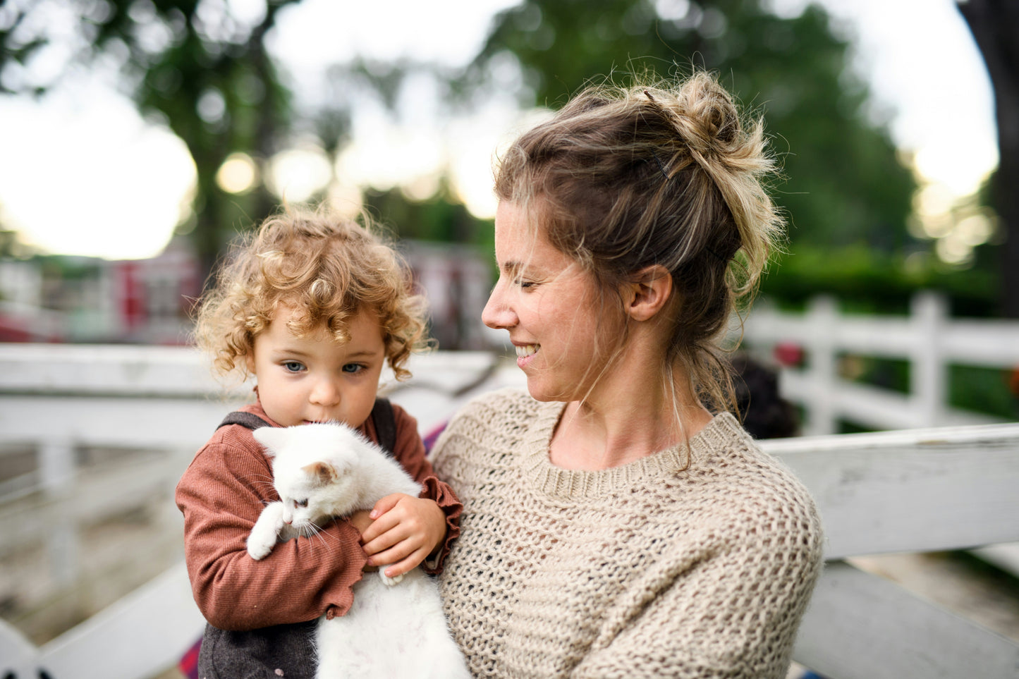 Cozy Cat Store Home Page